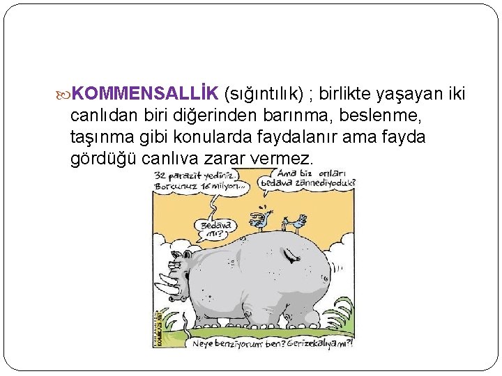  KOMMENSALLİK (sığıntılık) ; birlikte yaşayan iki canlıdan biri diğerinden barınma, beslenme, taşınma gibi