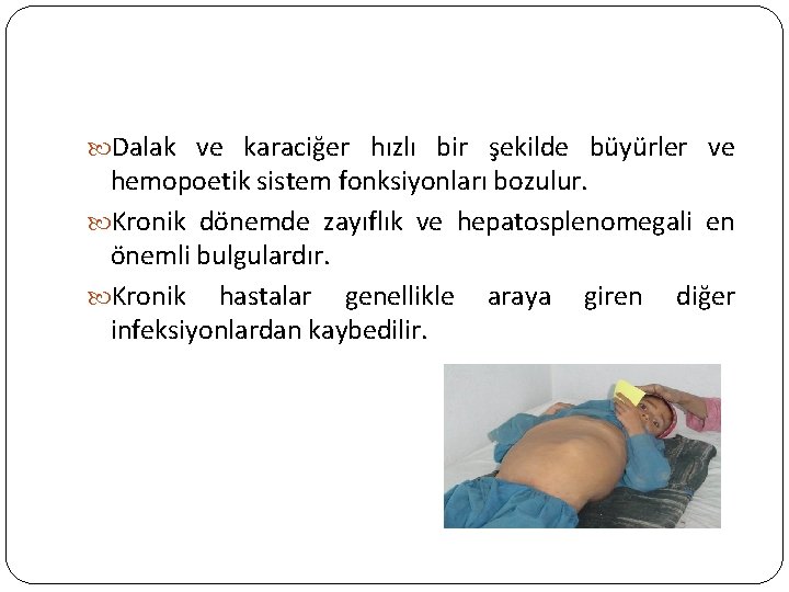  Dalak ve karaciğer hızlı bir şekilde büyürler ve hemopoetik sistem fonksiyonları bozulur. Kronik