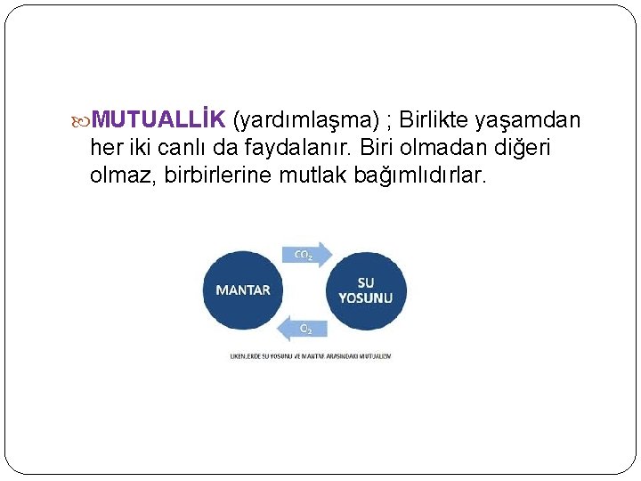  MUTUALLİK (yardımlaşma) ; Birlikte yaşamdan her iki canlı da faydalanır. Biri olmadan diğeri