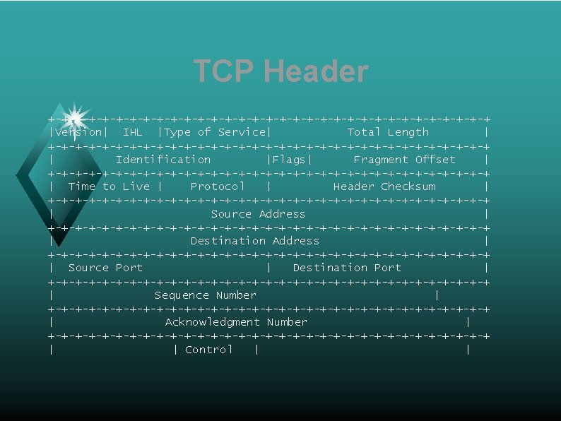 TCP Header +-+-+-+-+-+-+-+-+-+-+-+-+-+-+-+-+ |Version| IHL |Type of Service| Total Length | +-+-+-+-+-+-+-+-+-+-+-+-+-+-+-+-+ | Identification