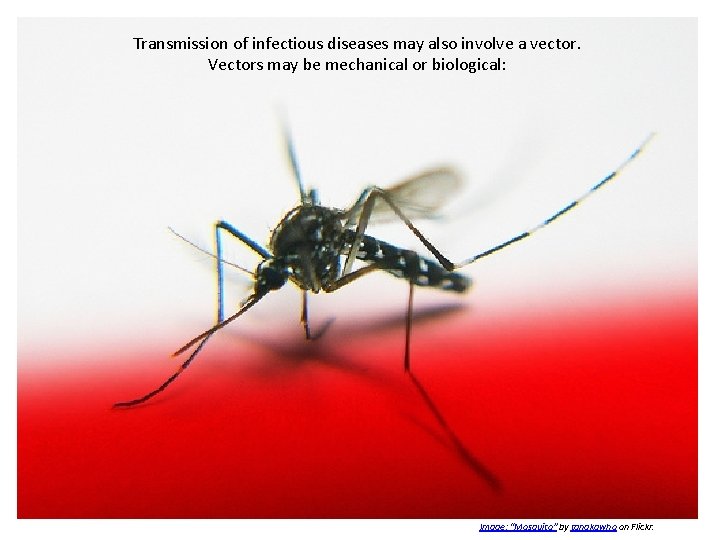 Transmission of infectious diseases may also involve a vector. Vectors may be mechanical or