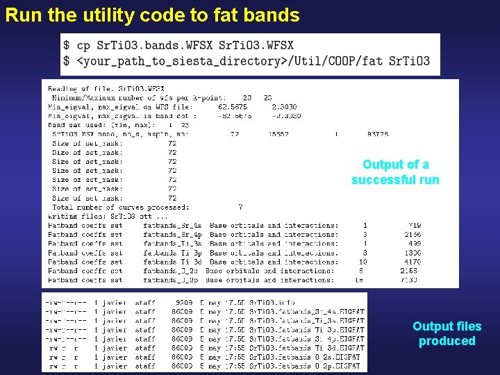 Run the utility code to fat bands Output of a successful run Output files