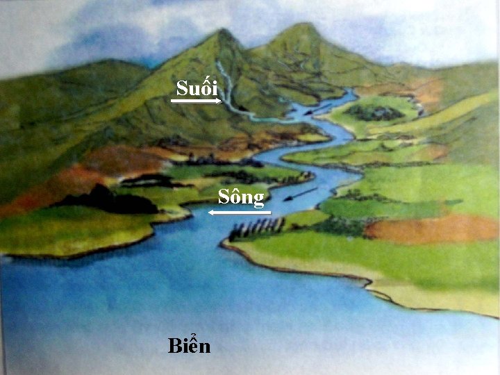 Suối Sông Biển 