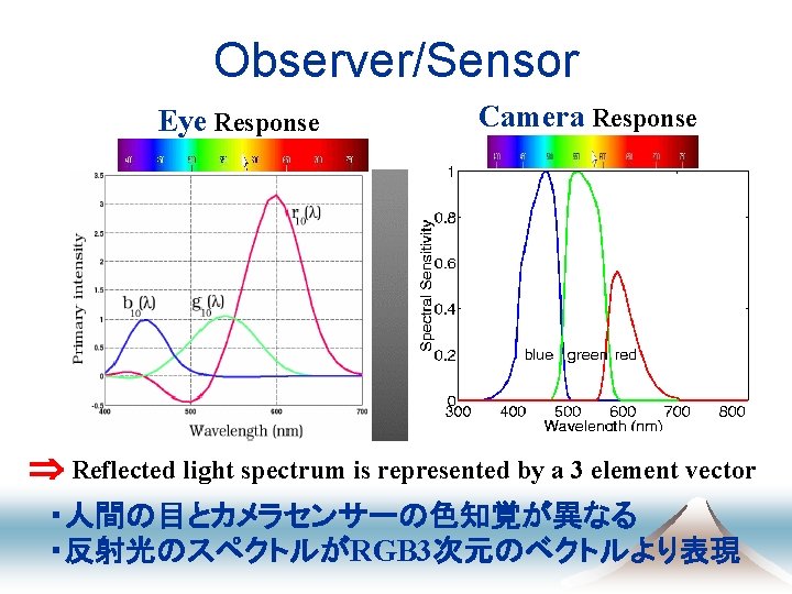 Observer/Sensor Eye Response Camera Response Reflected light spectrum is represented by a 3 element