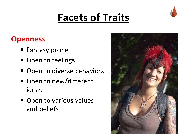 Facets of Traits Openness Fantasy prone Open to feelings Open to diverse behaviors Open