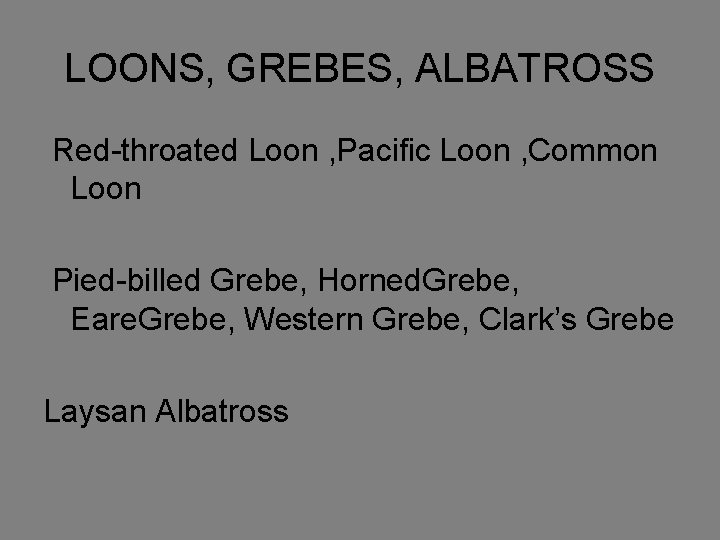 LOONS, GREBES, ALBATROSS Red-throated Loon , Pacific Loon , Common Loon Pied-billed Grebe, Horned.