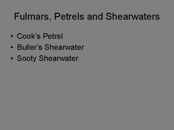 Fulmars, Petrels and Shearwaters • Cook’s Petrel • Buller’s Shearwater • Sooty Shearwater 