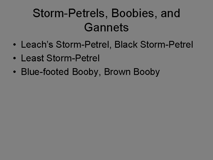 Storm-Petrels, Boobies, and Gannets • Leach’s Storm-Petrel, Black Storm-Petrel • Least Storm-Petrel • Blue-footed