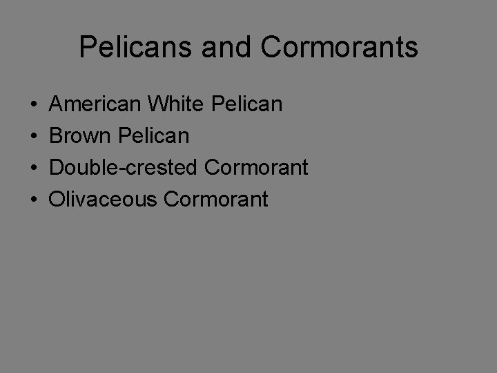 Pelicans and Cormorants • • American White Pelican Brown Pelican Double-crested Cormorant Olivaceous Cormorant