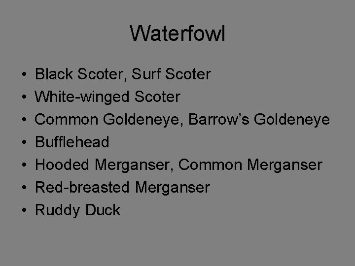Waterfowl • • Black Scoter, Surf Scoter White-winged Scoter Common Goldeneye, Barrow’s Goldeneye Bufflehead