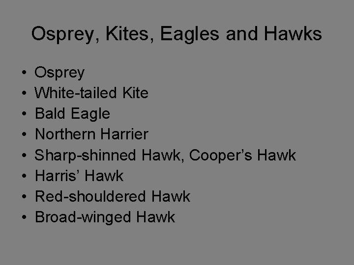 Osprey, Kites, Eagles and Hawks • • Osprey White-tailed Kite Bald Eagle Northern Harrier