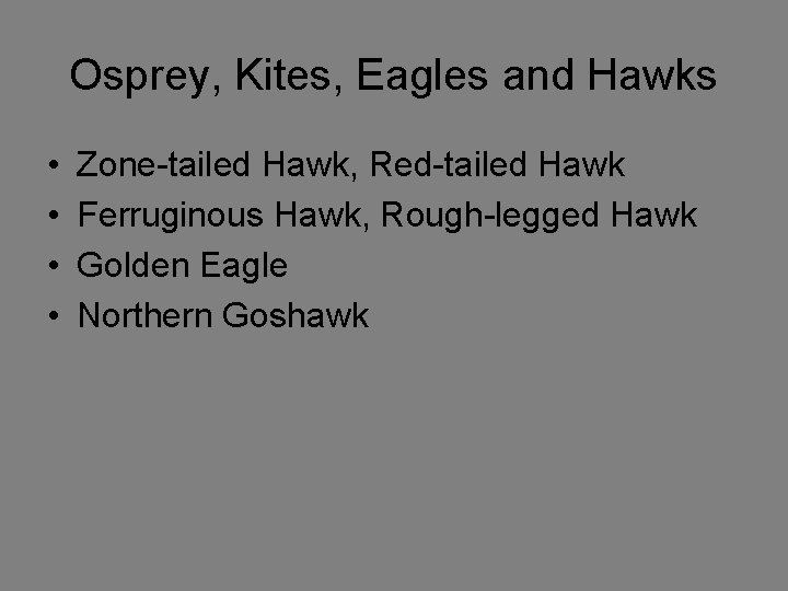 Osprey, Kites, Eagles and Hawks • • Zone-tailed Hawk, Red-tailed Hawk Ferruginous Hawk, Rough-legged