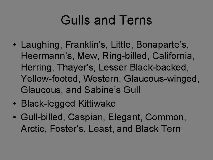 Gulls and Terns • Laughing, Franklin’s, Little, Bonaparte’s, Heermann’s, Mew, Ring-billed, California, Herring, Thayer’s,