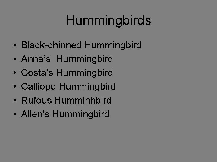 Hummingbirds • • • Black-chinned Hummingbird Anna’s Hummingbird Costa’s Hummingbird Calliope Hummingbird Rufous Humminhbird