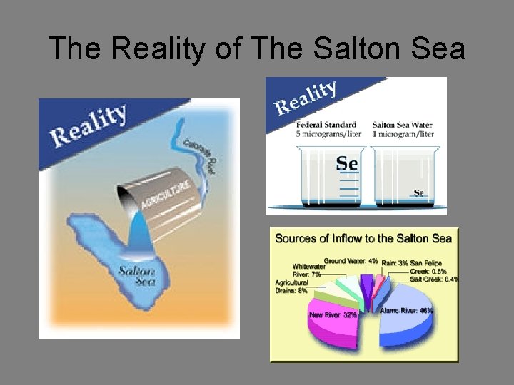 The Reality of The Salton Sea 