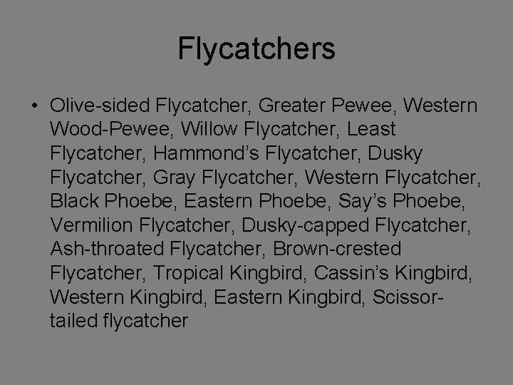 Flycatchers • Olive-sided Flycatcher, Greater Pewee, Western Wood-Pewee, Willow Flycatcher, Least Flycatcher, Hammond’s Flycatcher,