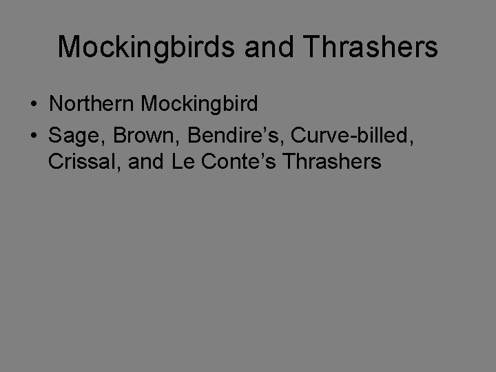 Mockingbirds and Thrashers • Northern Mockingbird • Sage, Brown, Bendire’s, Curve-billed, Crissal, and Le