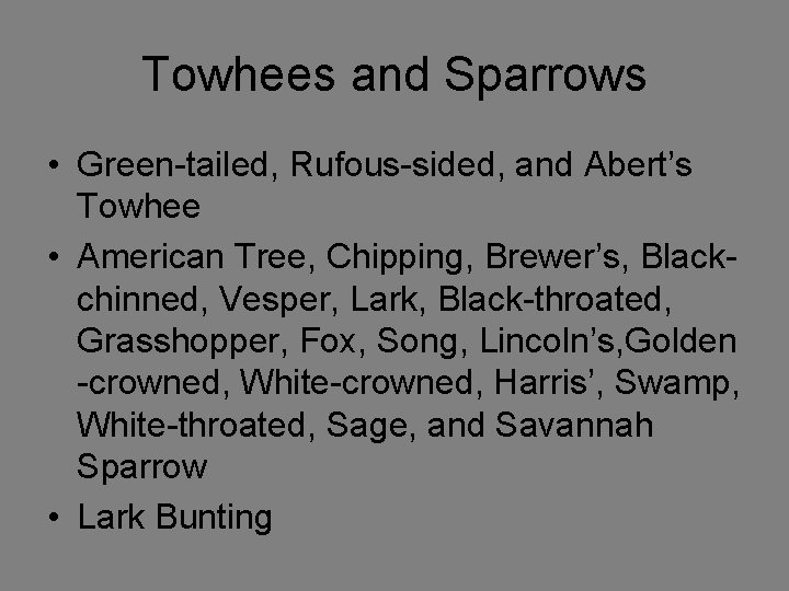 Towhees and Sparrows • Green-tailed, Rufous-sided, and Abert’s Towhee • American Tree, Chipping, Brewer’s,