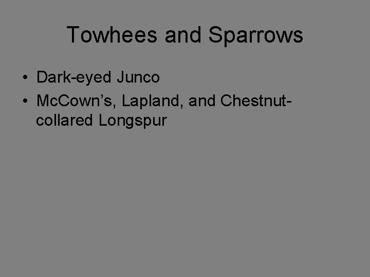 Towhees and Sparrows • Dark-eyed Junco • Mc. Cown’s, Lapland, and Chestnutcollared Longspur 