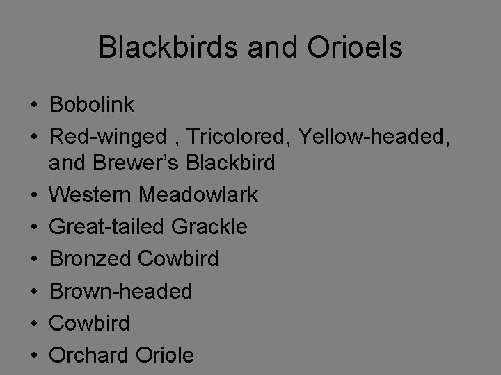 Blackbirds and Orioels • Bobolink • Red-winged , Tricolored, Yellow-headed, and Brewer’s Blackbird •