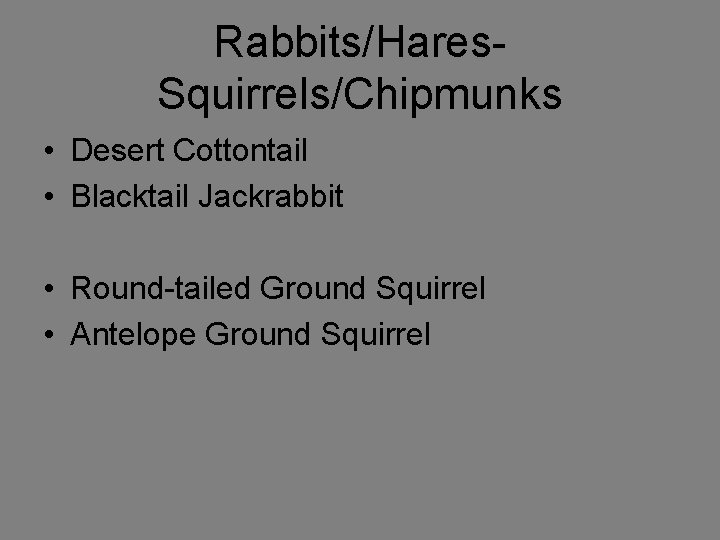 Rabbits/Hares. Squirrels/Chipmunks • Desert Cottontail • Blacktail Jackrabbit • Round-tailed Ground Squirrel • Antelope