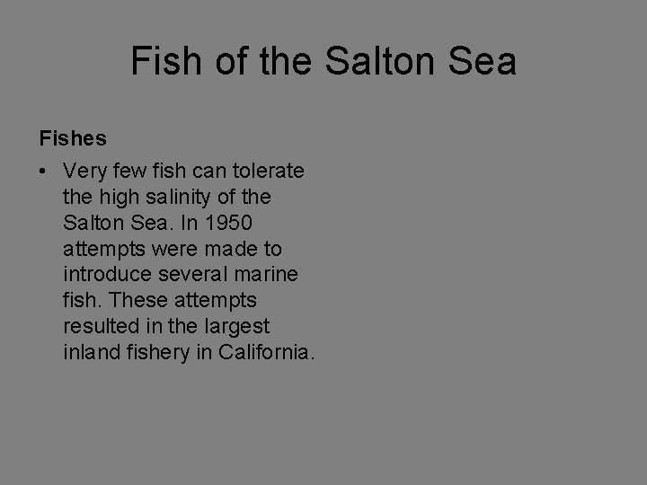 Fish of the Salton Sea Fishes • Very few fish can tolerate the high