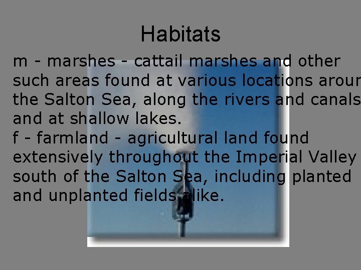 Habitats m - marshes - cattail marshes and other such areas found at various