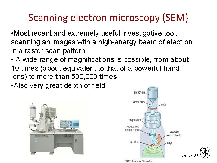 Scanning electron microscopy (SEM) • Most recent and extremely useful investigative tool. scanning an