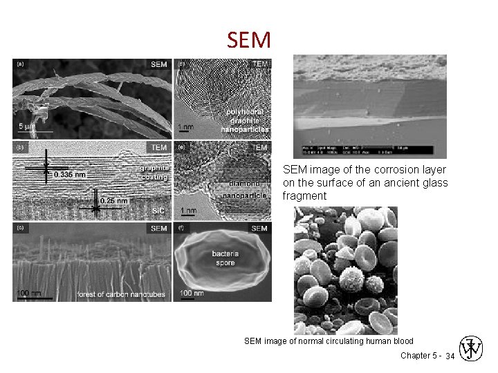 SEM image of the corrosion layer on the surface of an ancient glass fragment