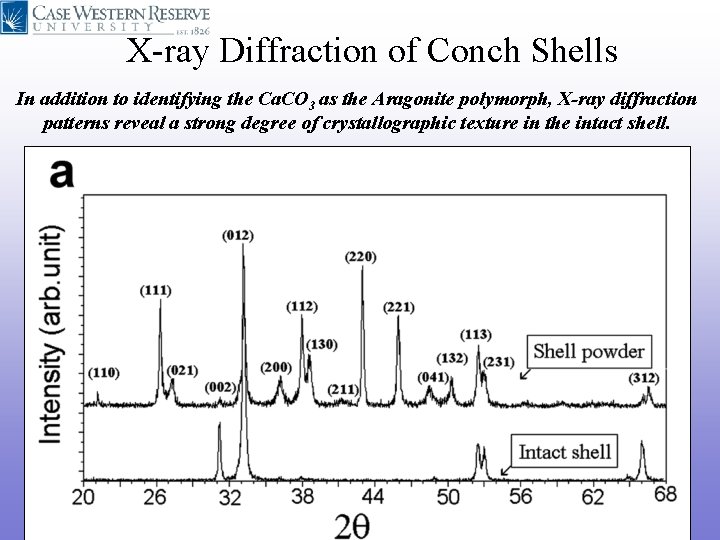 X-ray Diffraction of Conch Shells In addition to identifying the Ca. CO 3 as X-ray Diffraction of Conch Shells In addition to identifying the Ca. CO 3 as