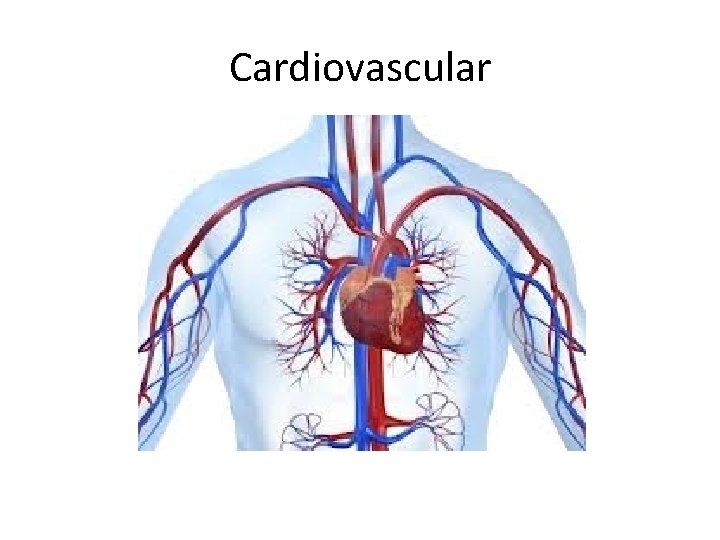 Cardiovascular 