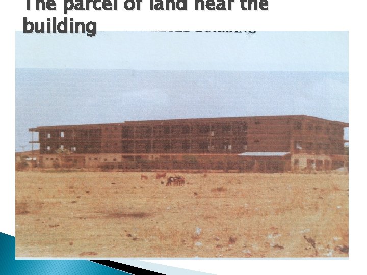 The parcel of land near the building 