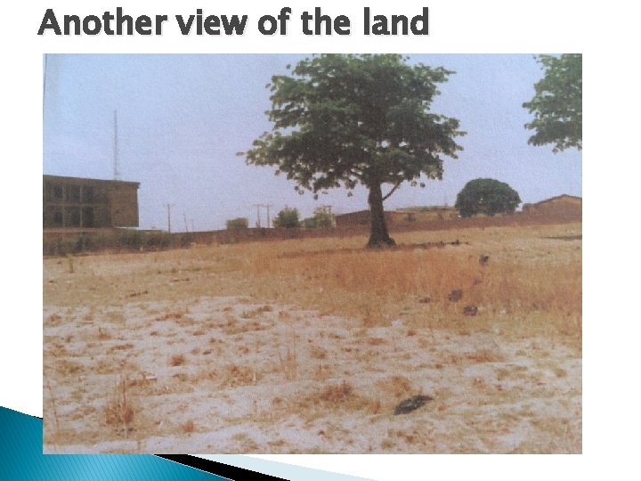 Another view of the land 