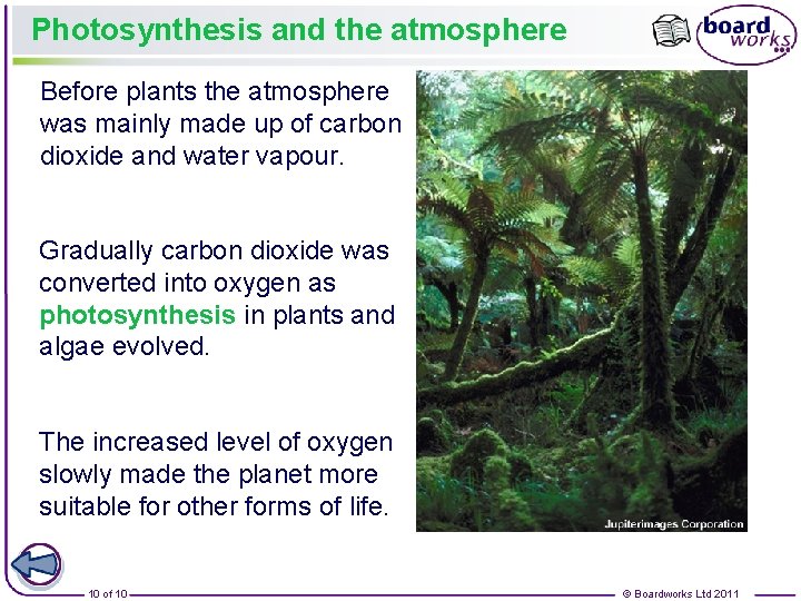 Photosynthesis and the atmosphere Before plants the atmosphere was mainly made up of carbon
