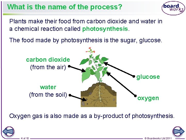 What is the name of the process? Plants make their food from carbon dioxide
