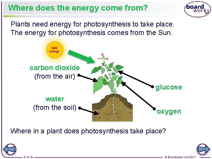 Where does the energy come from? Plants need energy for photosynthesis to take place.