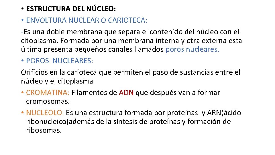  • ESTRUCTURA DEL NÚCLEO: • ENVOLTURA NUCLEAR O CARIOTECA: -Es una doble membrana