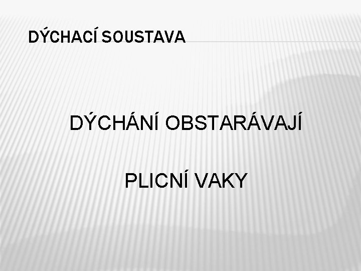 DÝCHACÍ SOUSTAVA DÝCHÁNÍ OBSTARÁVAJÍ PLICNÍ VAKY 