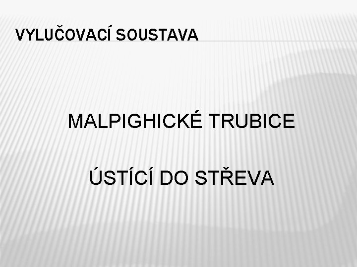 VYLUČOVACÍ SOUSTAVA MALPIGHICKÉ TRUBICE ÚSTÍCÍ DO STŘEVA 