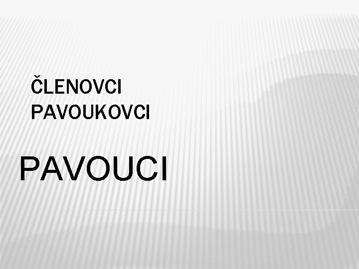 ČLENOVCI PAVOUKOVCI PAVOUCI 