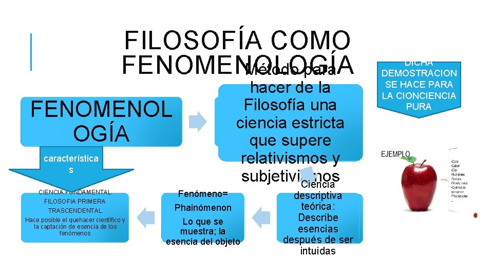 FILOSOFÍA COMO FENOMENOLOGÍA Método para FENOMENOL OGÍA característica s CIENCIA FUNDAMENTAL FILOSOFIA PRIMERA TRASCENDENTAL