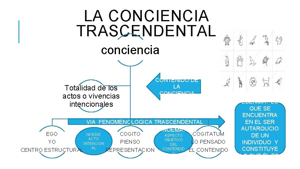 LA CONCIENCIA TRASCENDENTAL conciencia Totalidad de los actos o vivencias intencionales CONTENIDO DE LA
