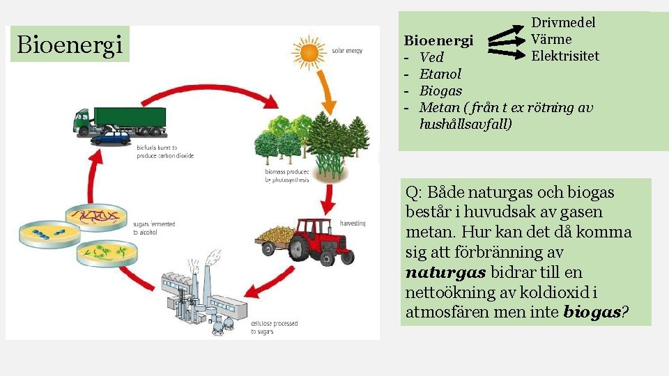 Bioenergi Drivmedel Värme Elektrisitet Bioenergi - Ved - Etanol - Biogas - Metan (