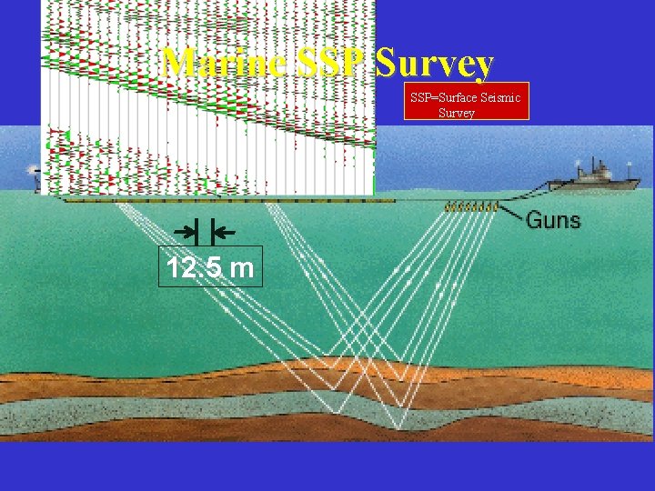 Marine SSP Survey SSP=Surface Seismic Survey 12. 5 m 