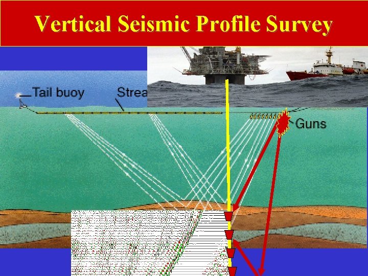 Vertical Seismic Profile Survey 