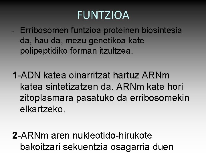 FUNTZIOA • Erribosomen funtzioa proteinen biosintesia da, hau da, mezu genetikoa kate polipeptidiko forman