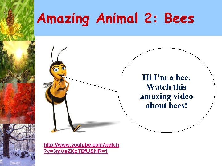 Amazing Animal 2: Bees Hi I’m a bee. Watch this amazing video about bees!