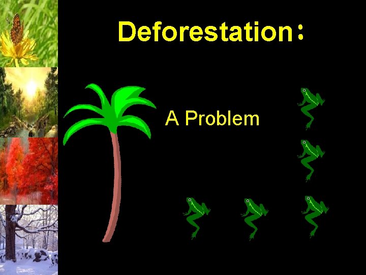 Deforestation: A Problem 