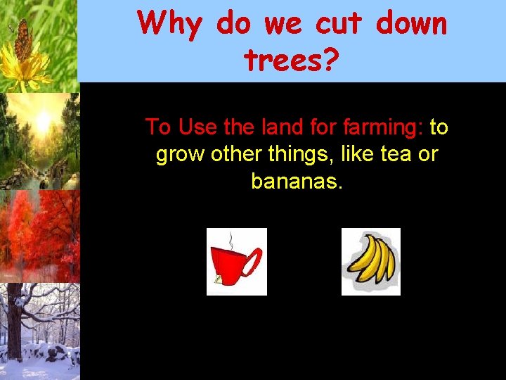 Why do we cut down trees? To Use the land for farming: to grow