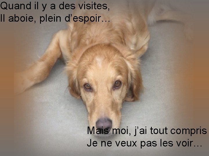 Quand il y a des visites, Il aboie, plein d’espoir… Mais moi, j’ai tout